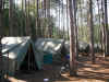 Our Camp - N Chippewa.JPG (56327 bytes)
